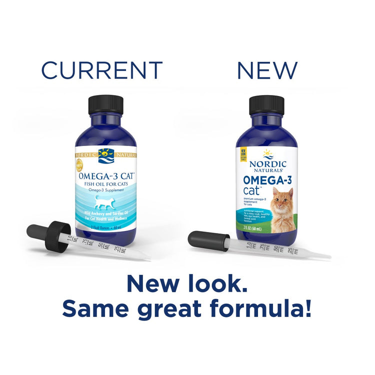 Omega-3 Cat